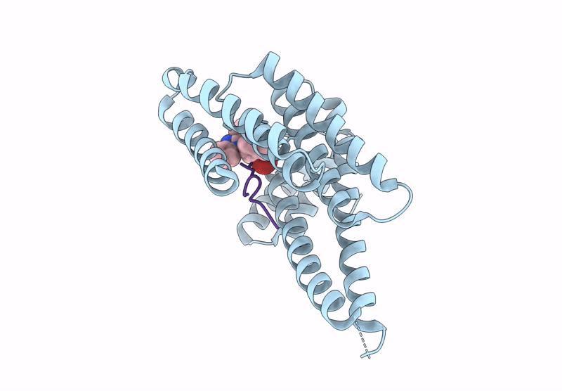 9GFA image