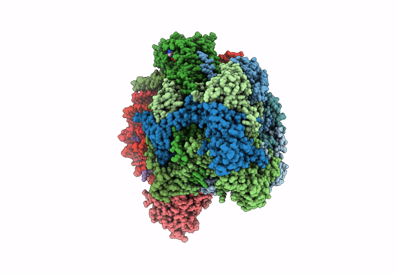 9GFB image