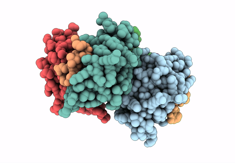 9GFC image