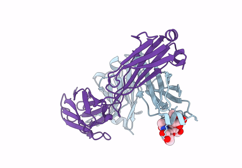9GFF image