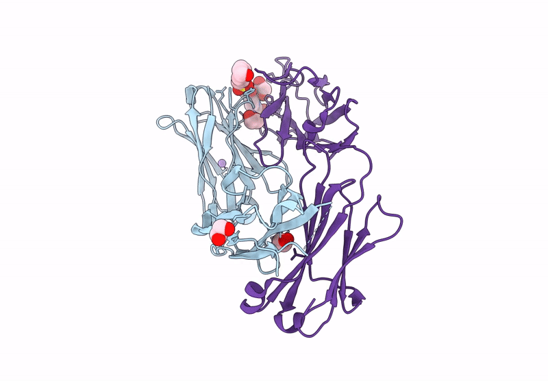 9GFL image