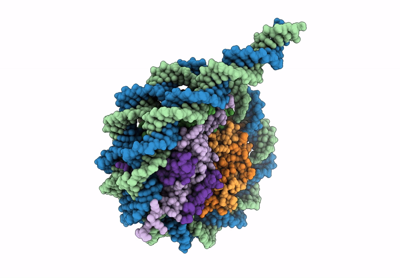 9GFM image