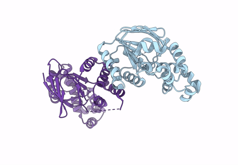 9GFP image