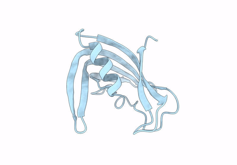 9GFQ image