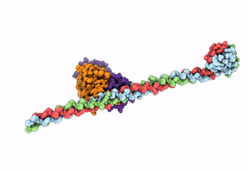 9GFR image