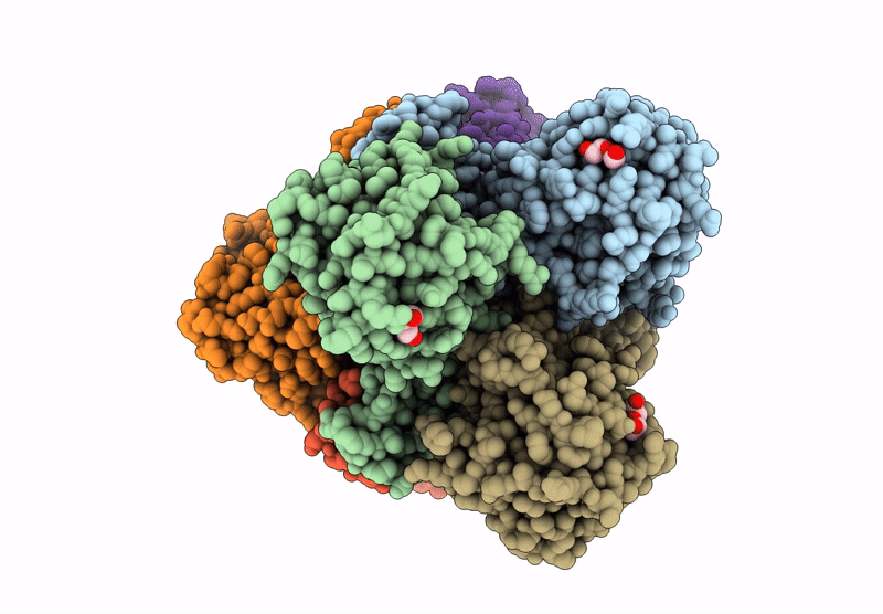 9GHL image