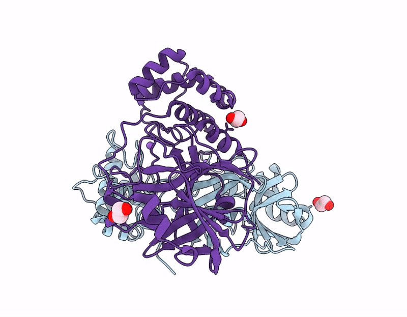 9GHN image