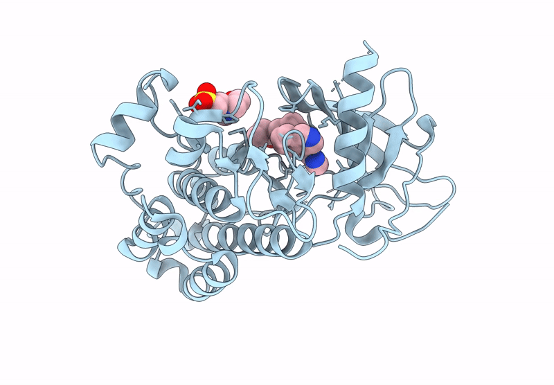 9GHR image