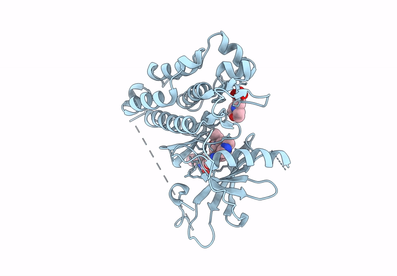 9GHV image