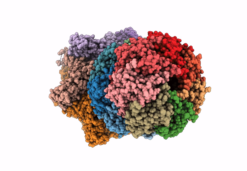9GI1 image