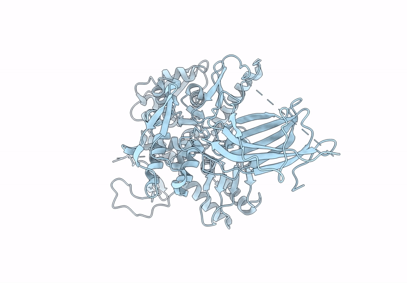 9GIM image