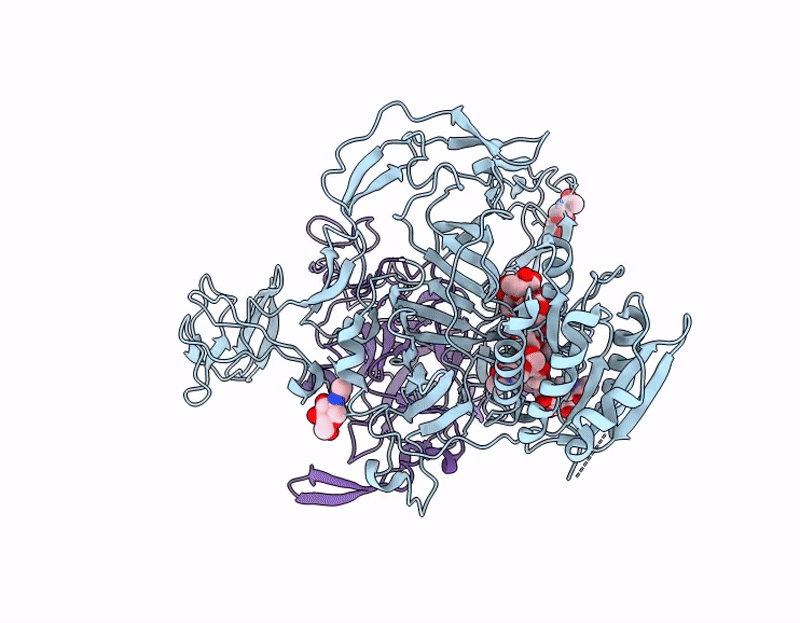 9GJB image