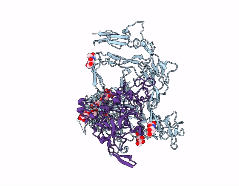 9GJF image