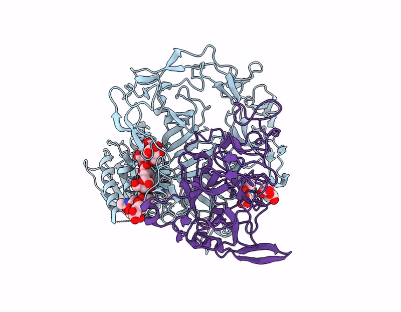 9GJH image