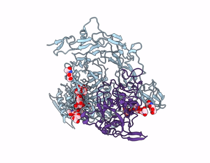 9GJM image