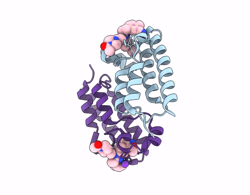 9GJR image