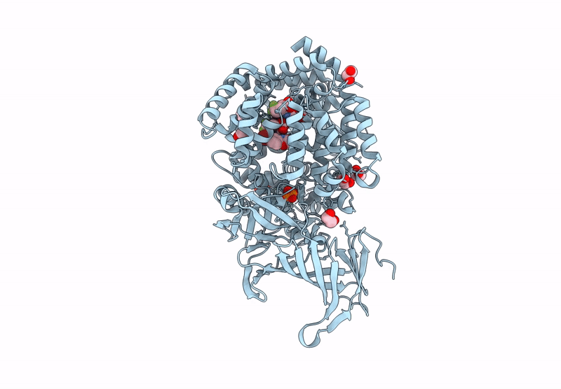 9GJS image