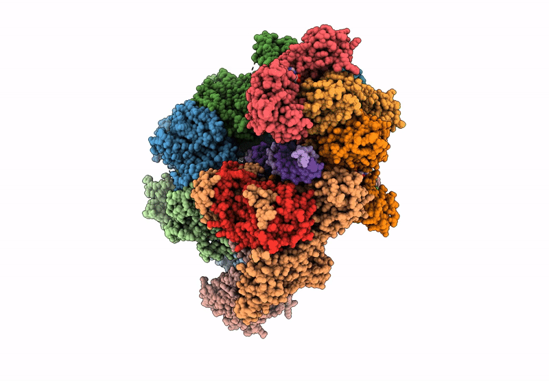 9GJW image