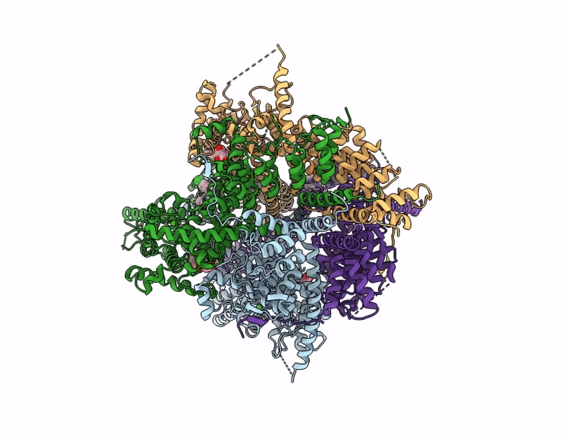 9GKB image