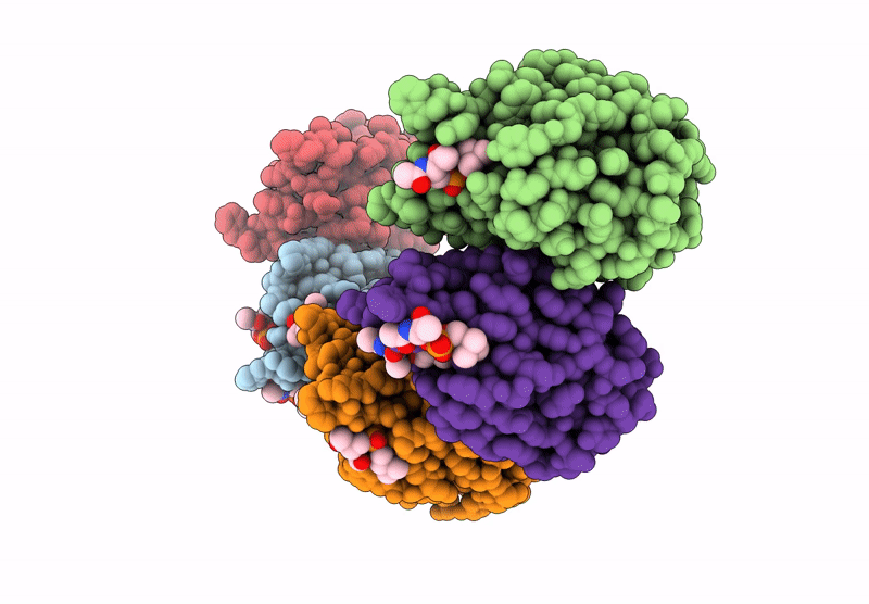 9GKI image