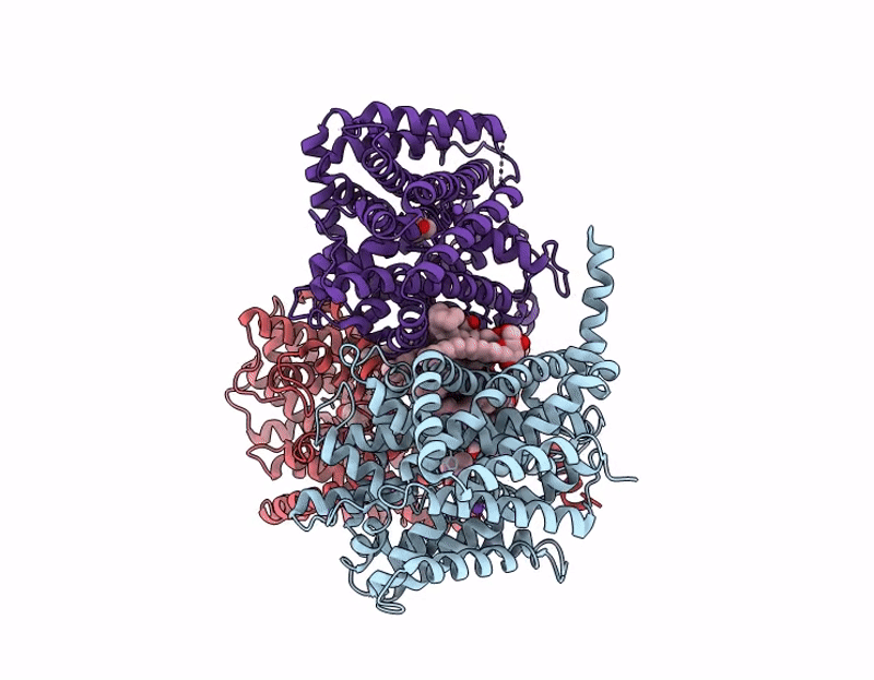 9GKK image