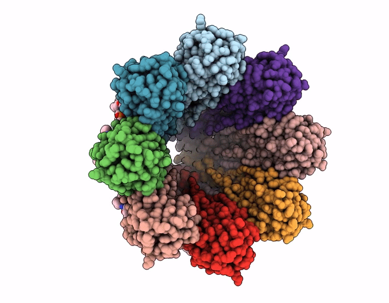 9GKL image