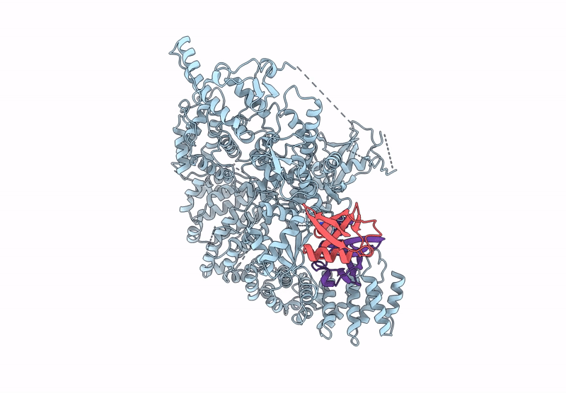 9GKN image
