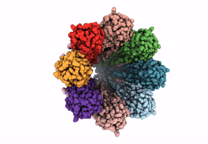 9GKP image