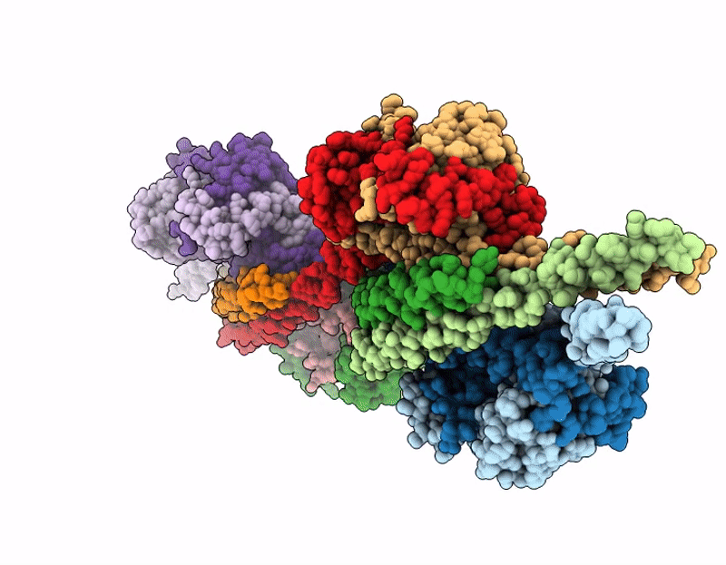 9GLC image