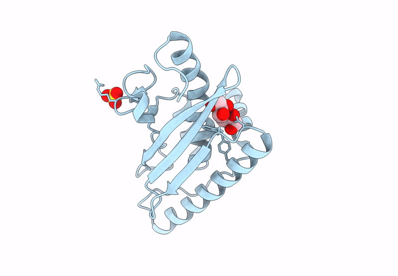 9GLP image