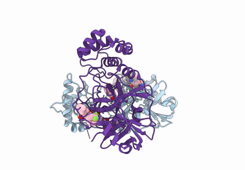 9GLV image