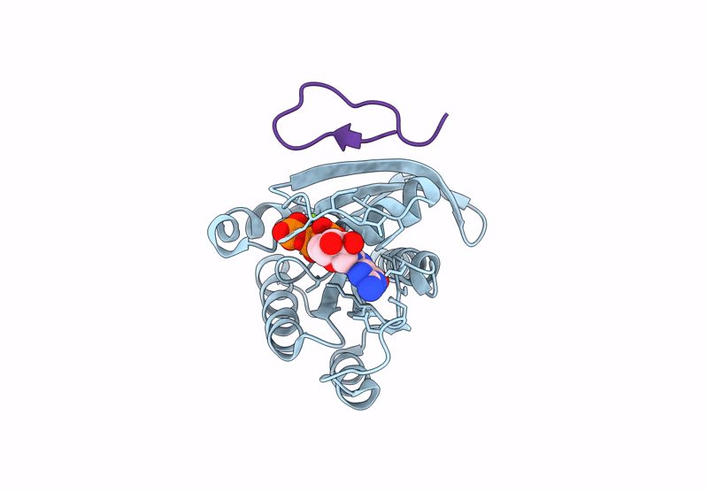 9GLW image