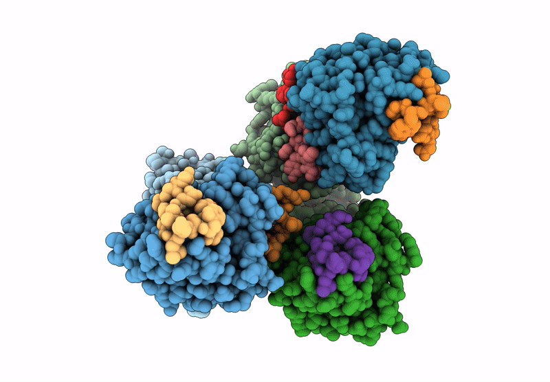 9GLX image