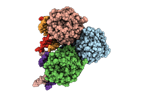9GM2 image