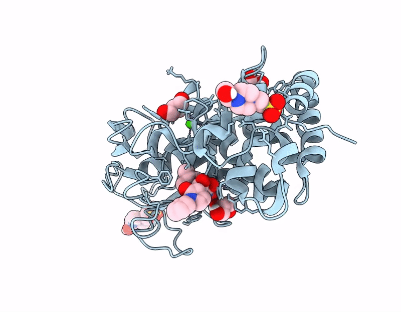 9GM4 image