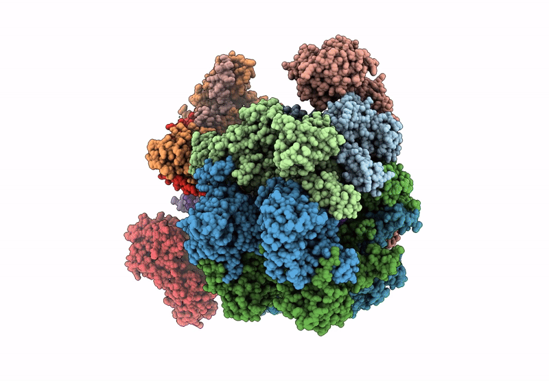 9GM5 image
