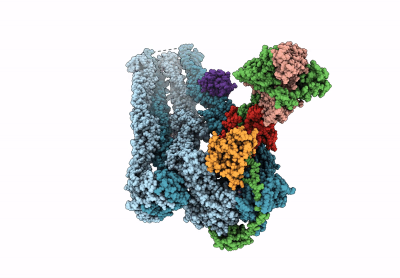 9GM8 image