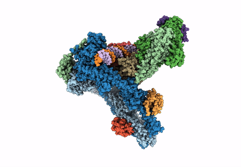 9GM9 image