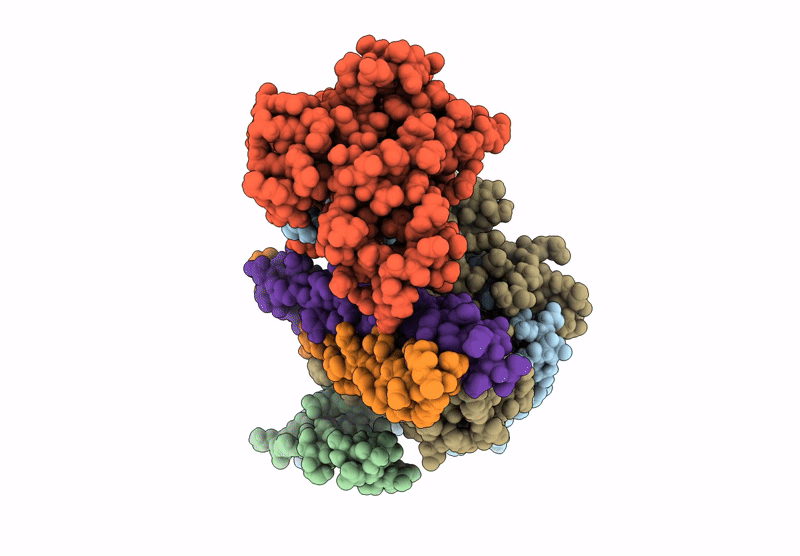 9GMD image