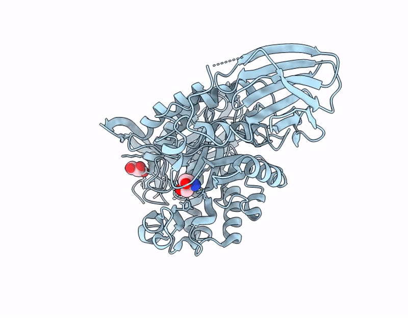 9GMJ image
