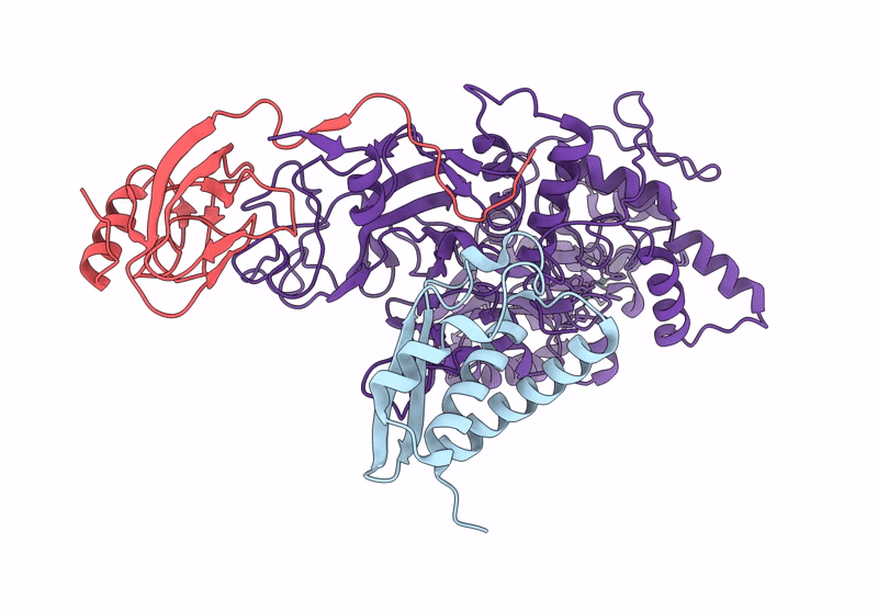 9GML image