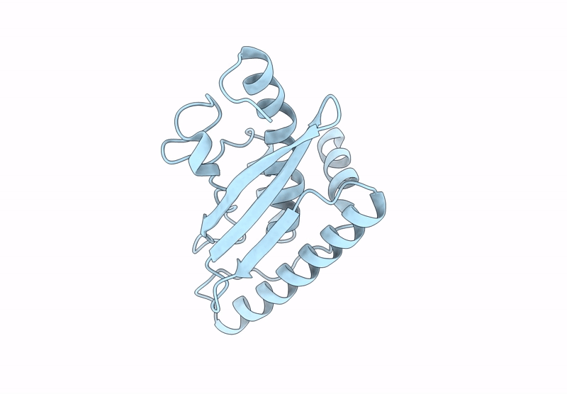 9GMN image