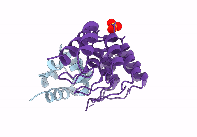 9GNB image
