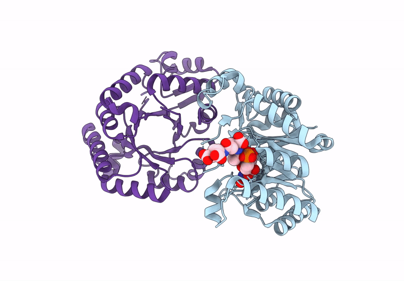 9GNC image