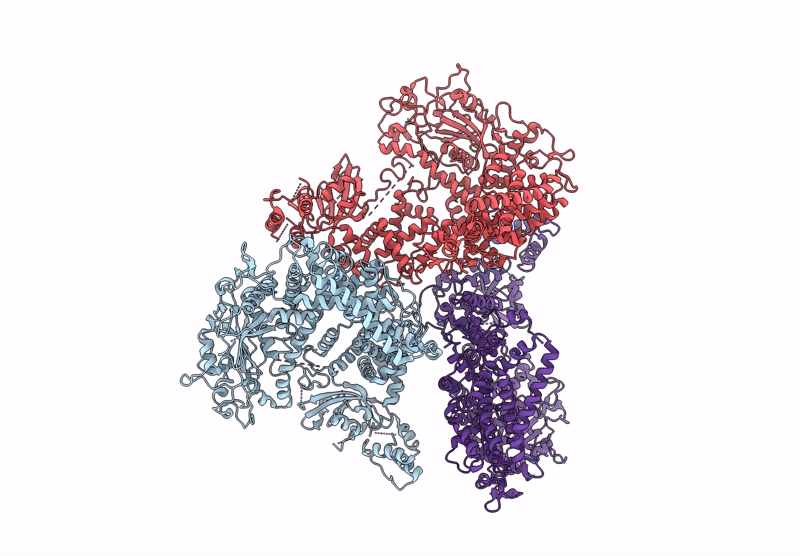 9GNH image