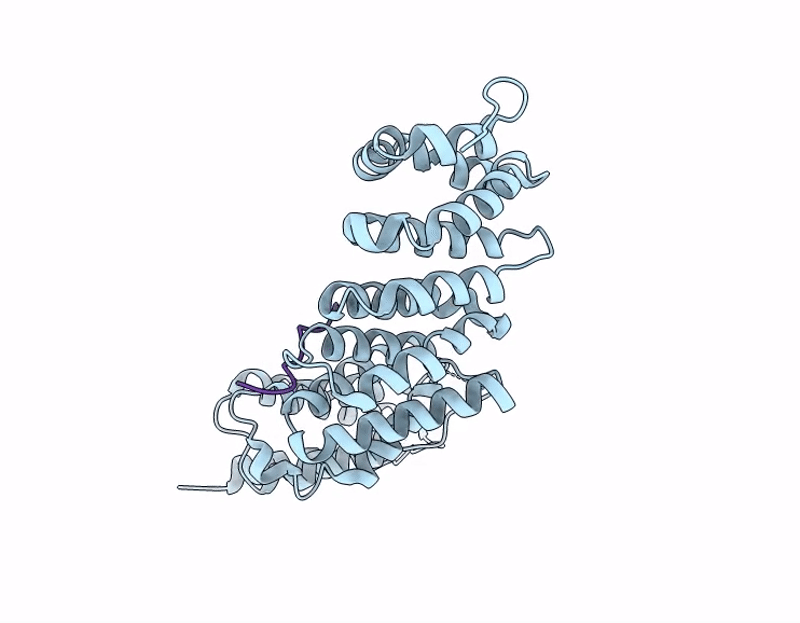 9GNJ image