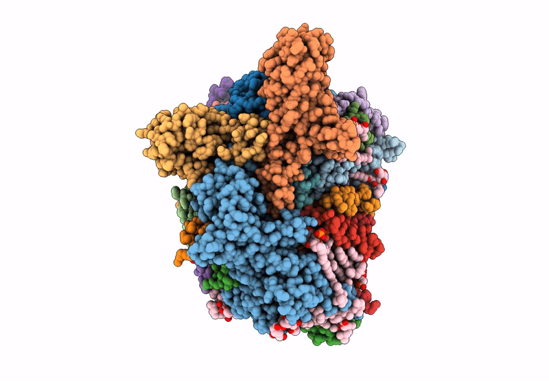 9GNW image