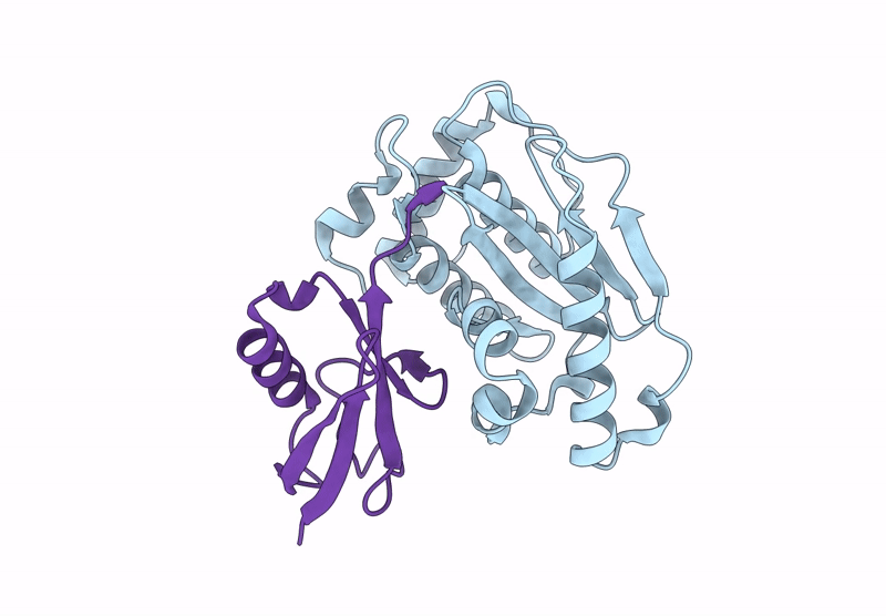 9GNX image