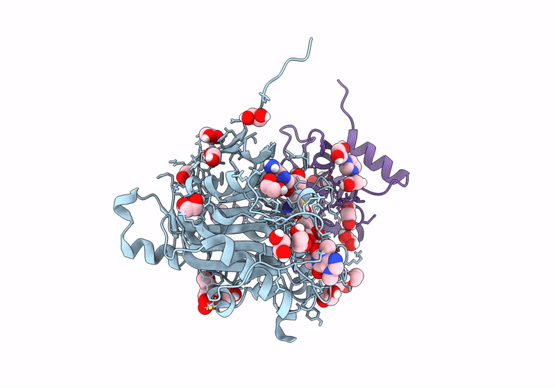 9GNY image