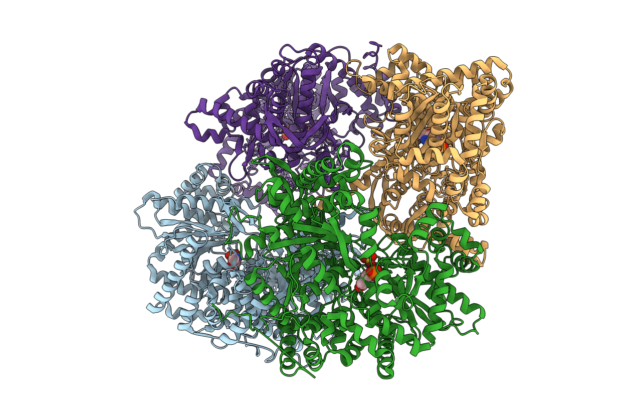 9GPB image
